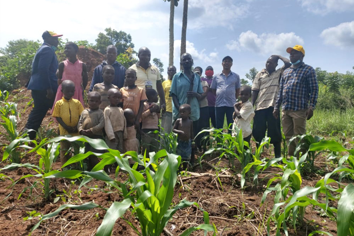 agriculture